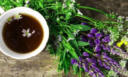 Ottenere una benessere ottimale con le Tisane naturali